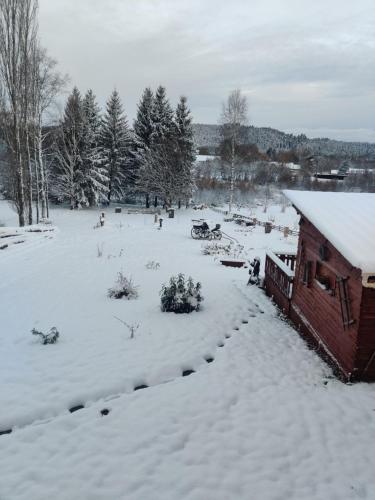 a yard covered in snow next to a building at La Cabane du Trappeur in La Bourgonce
