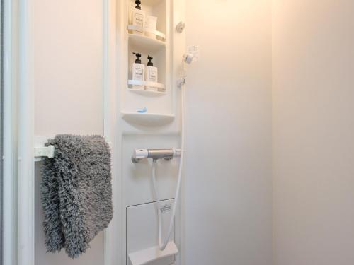 a bathroom with a shower and a sink at Urayasu Horie House in Tokyo