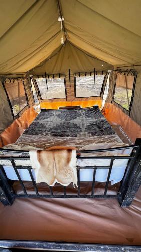 Maanzoni backpackers infinity camp grounds في Kenplains: وجود قطه جالسه على سرير في خيمه