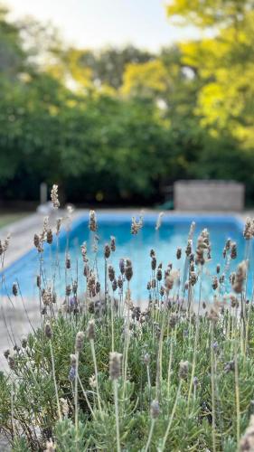 Φωτογραφία από το άλμπουμ του Casa con piscina a 600 metros de plaza de Villa de las Rosas σε Villa Las Rosas