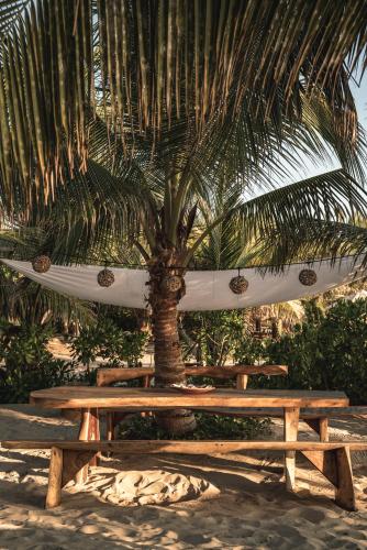 two picnic tables under a palm tree with a surfboard at Casa Chula Hotel Boutique Frente al Mar in Tierra Blanca