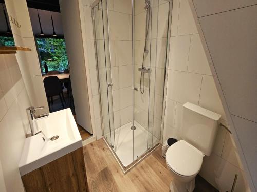 um banheiro com chuveiro, vaso sanitário e pia em Relaxing Ardennes Getaway in Durbuy em Septon