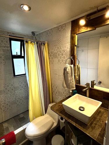 a bathroom with a sink and a white toilet at Cabaña en el bosque, Valdivia in Valdivia