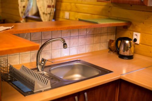 a kitchen sink with a faucet on a counter at Chata Alia in Vyšná Boca