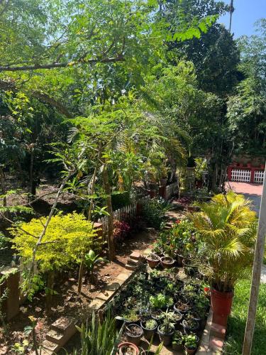 Κήπος έξω από το Hill view single apartment