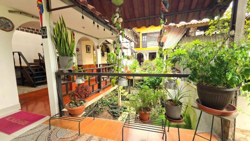 een balkon gevuld met veel planten bij Hospedaje plaza inn in Nauta