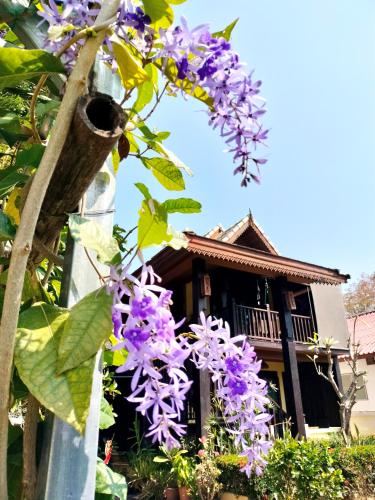 a tree with purple flowers in front of a building at Sukjai Homestay in Chiang Mai