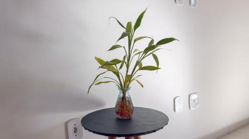 Imagem da galeria de Duplex em Itaúna 4min da Praia que ocorre o WSL, 1min da pista de skate do LS, pracinha com parque infantil, quadra de futebol, tudo isso a 1 min da duplex, perto do comércio, wi-fi super rápido, monitoramento 24hrs em Saquarema