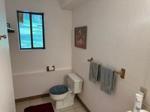 Koupelna v ubytování Welcome to the Sierra Foothills!