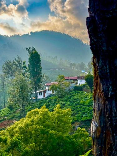 Příroda nedaleko hostelu