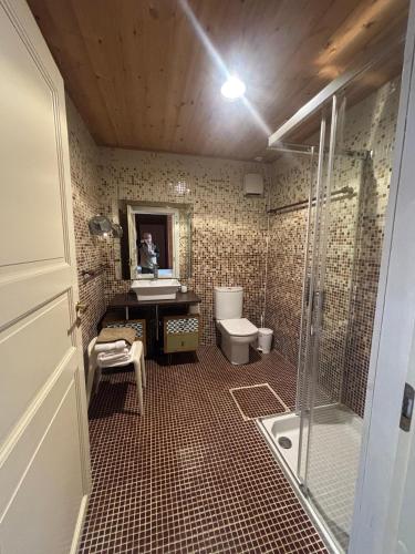 a bathroom with a shower and a sink and a toilet at Arbegain Etxea in Aizarna