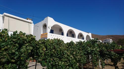 Un bâtiment blanc avec un bouquet de raisins dans l'établissement Tzamaros Studios, à Mérikhas