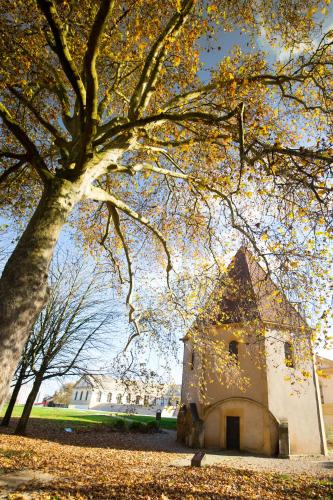 an old building with a tree in front of it at La Citadelle Hotel Metz - MGallery Collection in Metz