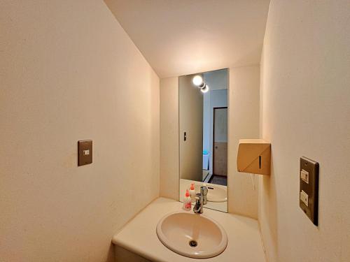 a bathroom with a sink and a mirror at 秘湯花文 in Myoko