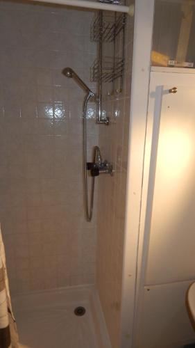 La salle de bains est pourvue d'une douche. dans l'établissement Studio Ski Apartment, à Les Deux Alpes