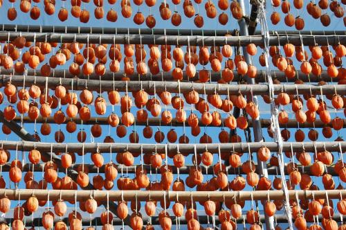 a bunch of oranges are hanging on a pole at Hotel Hatta in Fuefuki