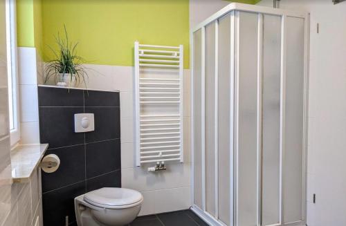 a bathroom with a toilet and a green wall at Unter den Kiefern 62 in Röbel