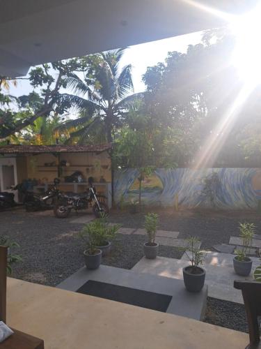 a group of potted plants in front of a building at Cactus reef in Ahangama