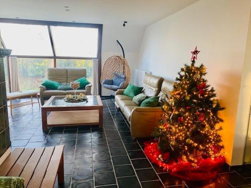 Фотография из галереи t' Zwaluwnestje в городе Зедельгем