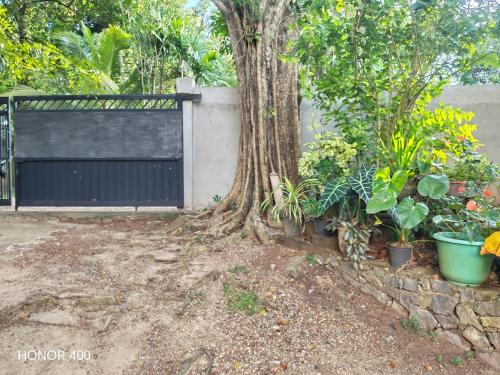 Imagen de la galería de Hilltop Haven, en Mirissa