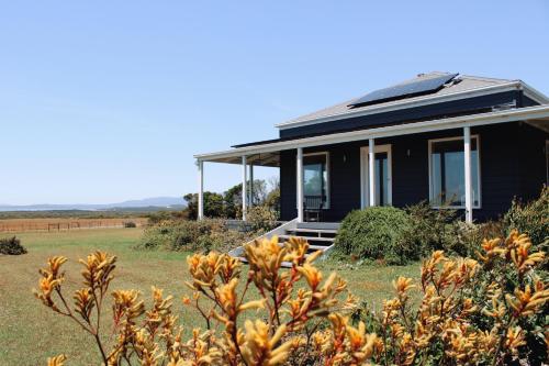 a black house in a field with a bush at The Yanakie House & Cabins in Yanakie