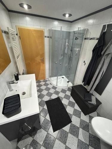 a bathroom with a shower and a sink and a toilet at Antweiler Ferienwohnung in Bleialf
