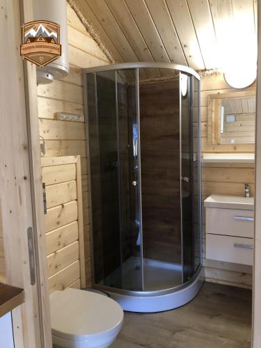 a shower in a bathroom with a toilet and a sink at Osada w Karkonoszach in Kowary