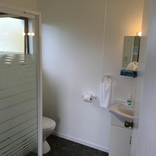 a bathroom with a toilet and a sink at Waitomo Caves Guest Lodge in Waitomo Caves