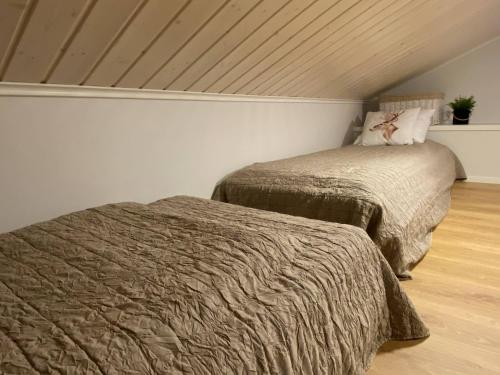 Un dormitorio con dos camas en un ático. en Villa Anilia, en Syöte