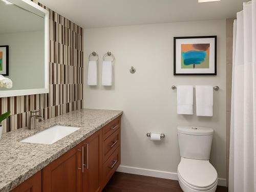 Koupelna v ubytování Marriott's Shadow Ridge I - STUDIO