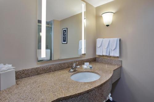 Hilton Garden Inn Chesapeake Greenbrier في تشيسابيك: حمام مع حوض ومرآة