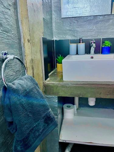 a bathroom with a sink and a shower at Craftsmanship 340 IMD in Johannesburg