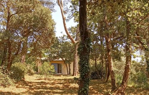 Gorgeous Home In Besse Sur Issole