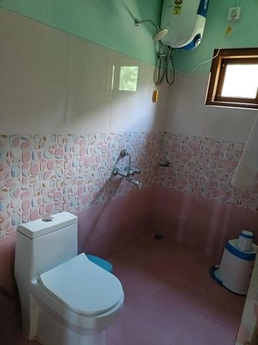 a bathroom with a white toilet and pink walls at Riwai Root Bridge homestay in Mawlynnong