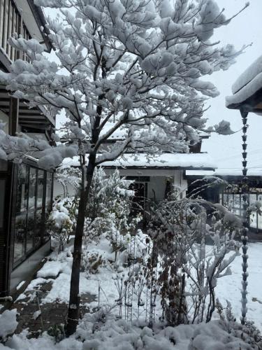 a tree covered in snow next to a house at 桜Sakura in Omachi