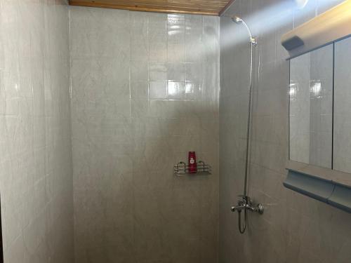 Fotografie z fotogalerie ubytování Dombi-Lak v destinaci Tiszakécske