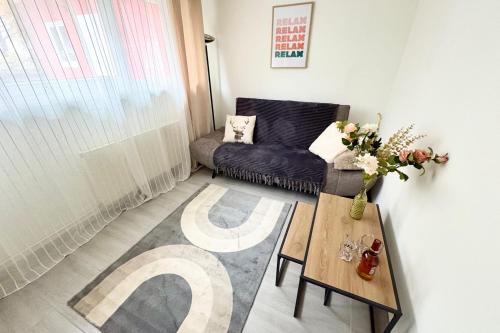 Posezení v ubytování Spacious quiet apartment near Strasbourg