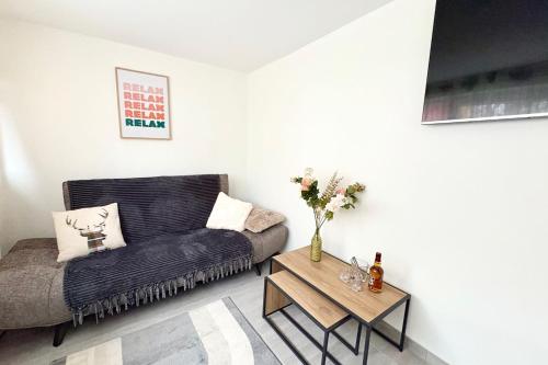 TV a/nebo společenská místnost v ubytování Spacious quiet apartment near Strasbourg