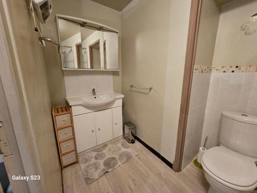 a bathroom with a toilet and a sink and a shower at ferme bernicat gite ventoux in Puyméras
