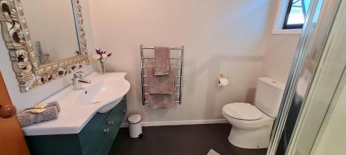 a bathroom with a sink and a toilet and a mirror at Rolling Hills Country Stay B&B in Tauranga