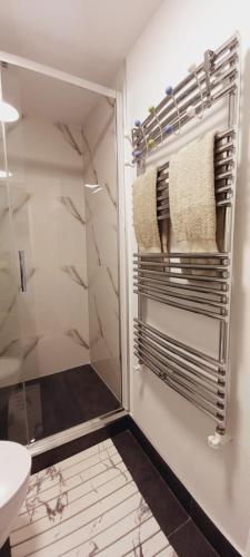 a bathroom with a shower and a towel rack at Studiou Elena in Lupeni