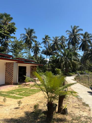 Kohmook Timberland Resort from Seaview في كو موك: منزل فيه نخل قدام طريق ترابي