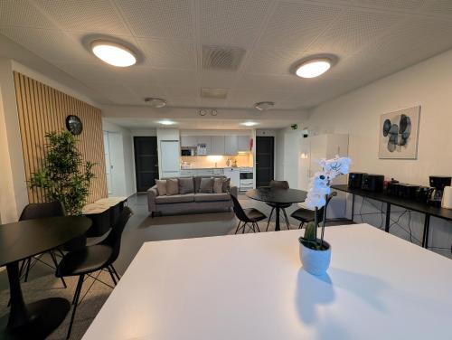een woonkamer met een tafel, stoelen en een bank bij Kotimaailma - Vihtyisä Hostelli in Kokkola