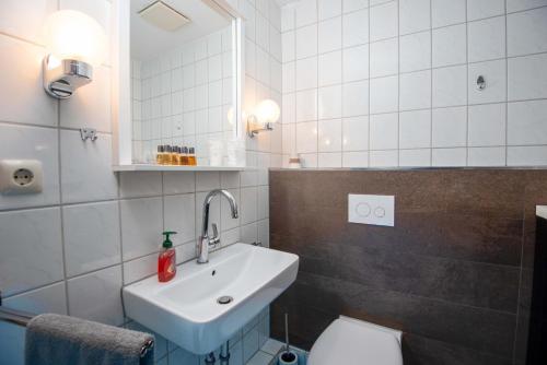 a bathroom with a sink and a toilet at Ferienwohnung Hummer in Manslagt