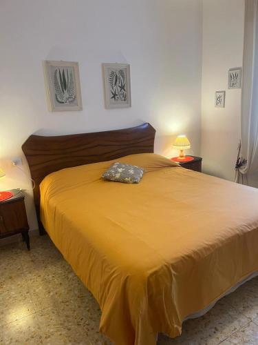 a bedroom with a large bed with a yellow bedspread at B&b Cristina - Appartamento Monte Coccia in Campo di Giove