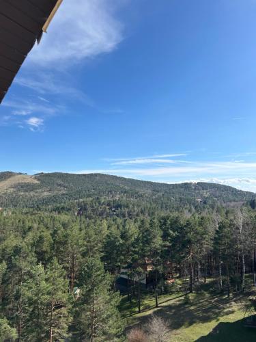 a view of a mountain with trees and a blue sky at Apartman Ilić in Divčibare