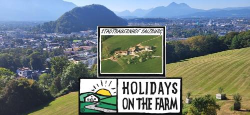 Stadtbauernhof Salzburg - Ferienwohnung - Gut Unterleithen - farm & the city