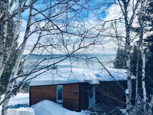 Природа в окрестностях шале