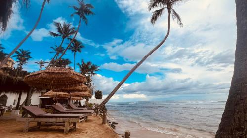a beach with a bunch of chairs and palm trees at Kabalana Surf Hostel in Ahangama