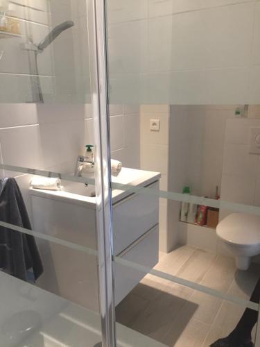 a bathroom with a shower and a sink and a toilet at Marco Polo 3 pers pool in Mandelieu-La Napoule